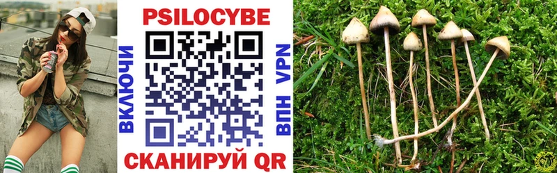купить наркотик  Сатка  Галлюциногенные грибы Psilocybe 